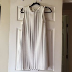 Calvin Klein shift dress size 6 stripes career